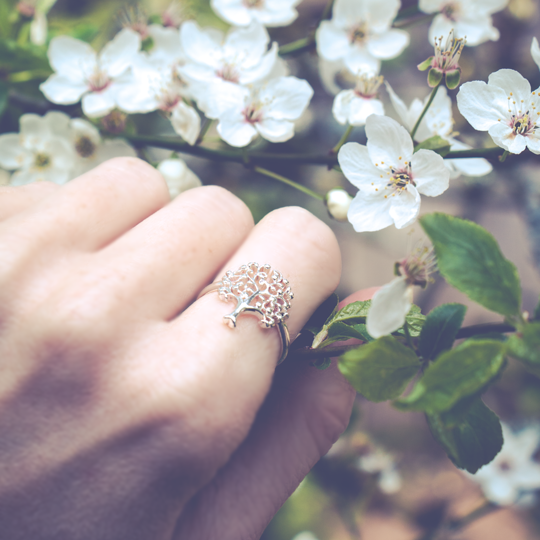 Apple Tree Ring-silver