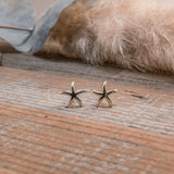 asteroideas studs