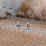 asteroideas studs