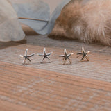 asteroideas studs