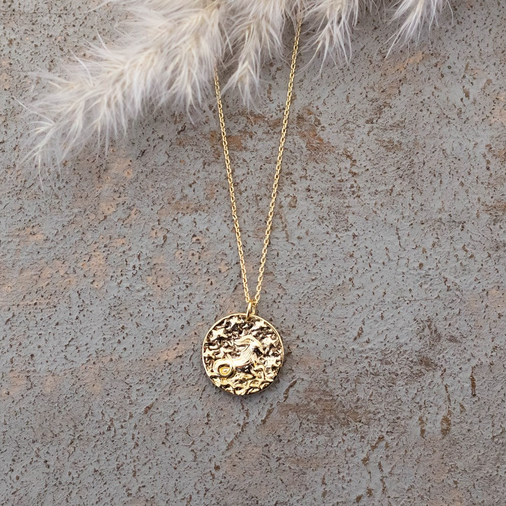 capricorn zodiac necklace