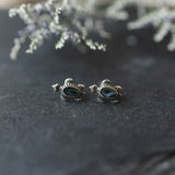 Dtao Studs-abalone