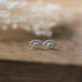 guardian eye studs