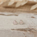 heart of stone studs-rose quartz