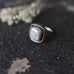Laut Kotak Ring