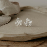 maple studs