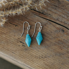 poseidon's earrings