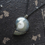 Silver Whisper Nautilus Shell Pendant