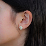 windflower studs